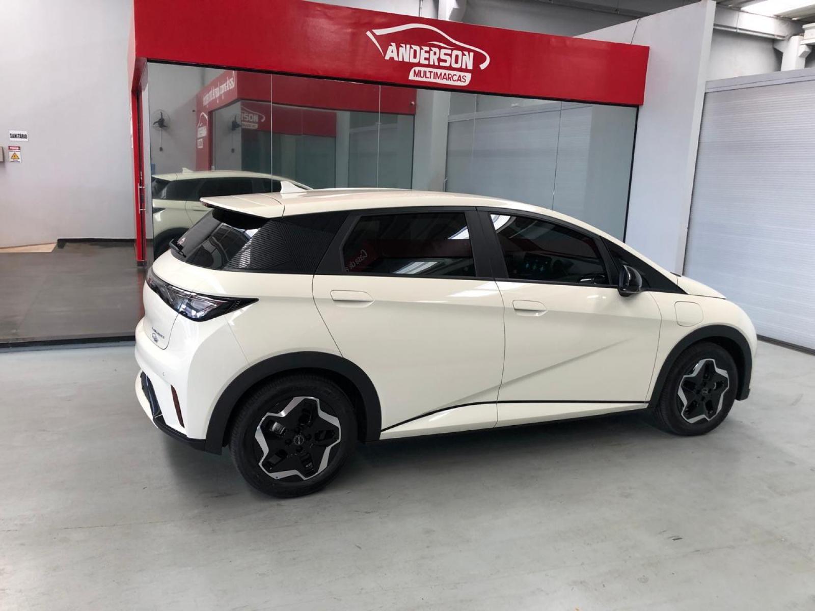 BYD DOLPHIN GS 180 EV - foto 4