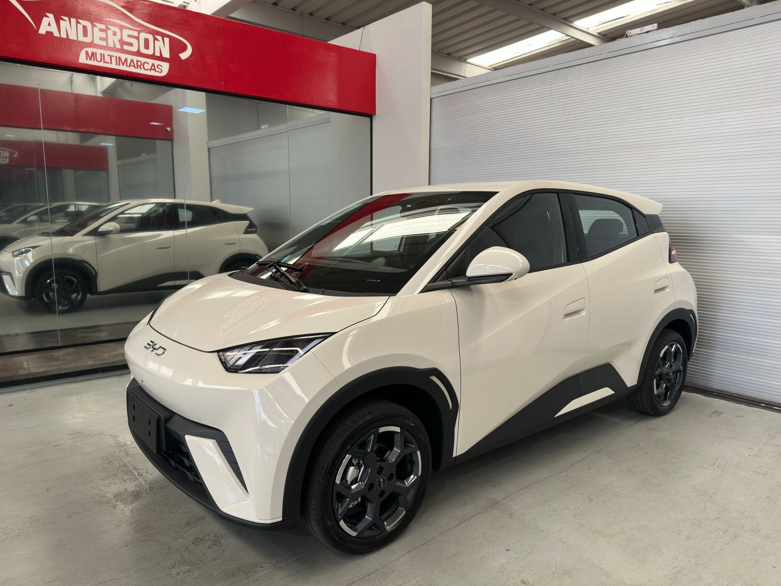 BYD DOLPHIN MINI 
